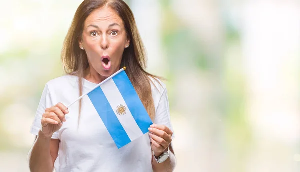 Mujer Hispana Mediana Edad Sosteniendo Bandera Argentina Sobre Fondo Aislado —  Fotos de Stock