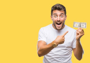 Yakışıklı delikanlı dolar izole arka plan üzerinde çok mutlu el ve parmak ile işaret tutan