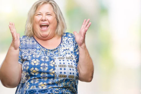 Senior Size Caucasian Woman Isolated Background Celebrating Mad Crazy Success — Stock Photo, Image