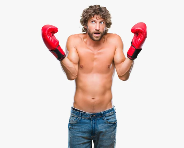 Schöner Hispanischer Boxer Mit Boxhandschuhen Vor Isoliertem Hintergrund Sehr Glücklich — Stockfoto