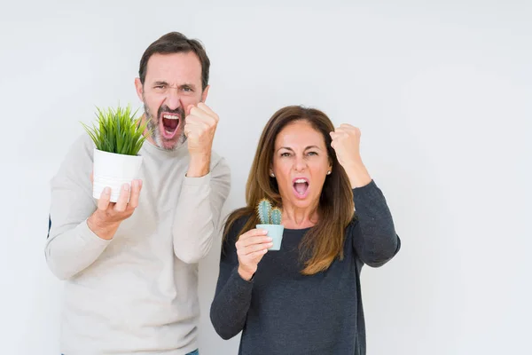 Pareja Mediana Edad Sosteniendo Plantas Sobre Fondo Aislado Molesta Frustrada — Foto de Stock