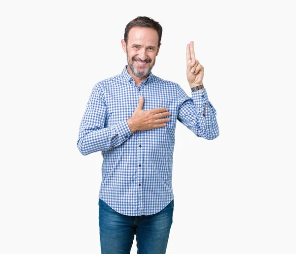 Handsome Middle Age Elegant Senior Man Isolated Background Swearing Hand — Stock Photo, Image