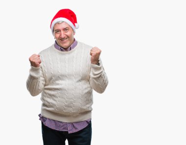 Üst düzey yakışıklı Noel şapka üzerinde arka plan çok mutlu ve heyecanlı kaldırdı, silah ile kazanan jest yapıyor gülümseyen ve başarı için çığlık izole. Kutlama kavramı.