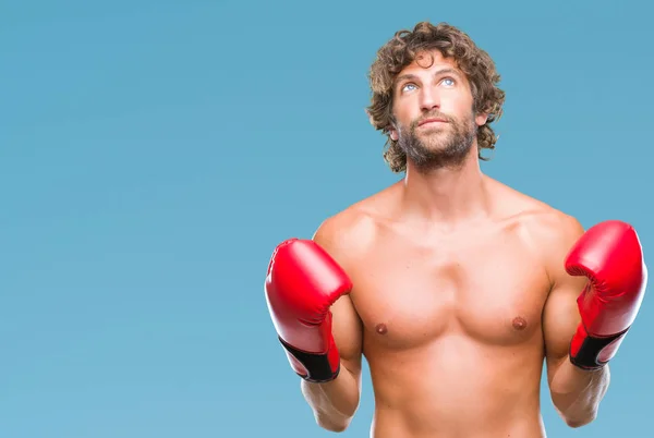 Bonito Homem Boxeador Hispânico Usando Luvas Boxe Sobre Fundo Isolado — Fotografia de Stock