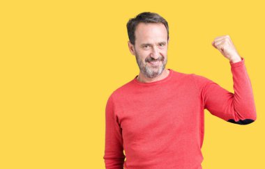 Kol kas, kendinden emin ve güç gurur gösteren izole arka plan güçlü kişi üzerinde kış kazak giymiş yakışıklı orta yaş ağarmış komuta sizde