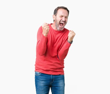 Gülümseyen ve başarı için çığlık izole arka plan çok mutlu ve heyecanlı kaldırdı, silah ile kazanan jest yapıyor üzerinde kış kazak giymiş yakışıklı orta yaş ağarmış komuta sizde. Kutlama kavramı.