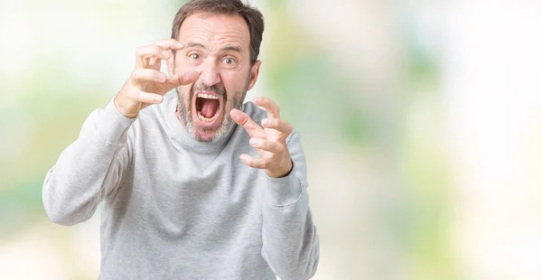 Handsome Middle Age Senior Man Wearing Sweatshirt Isolated Background Shouting — Stock Photo, Image