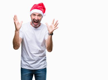 Orta yaş ağarmış komuta sizde Noel şapka üzerinde arka plan çılgın kutlama izole ve başarı için kaldırdı kollarını açarak hayrete ve heyecanlı çığlık gözleri açık. Kazanan kavramı