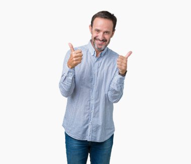 Yakışıklı orta yaş zarif komuta sizde izole arka plan başarı işareti el ile pozitif jest yapıyor üzerinde başparmak gülümseyen ve mutlu. Neşeli bir ifadeyle, kazanan jest kameraya bakıyor.