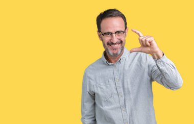 İzole arka plan gülümseyen ve süre seyir ve kamera boyutu işaret parmaklarıyla yapıyor el ile kendinden emin eller üzerinde gözlük takan yakışıklı orta yaş zarif komuta sizde. Ölçü kavramı.