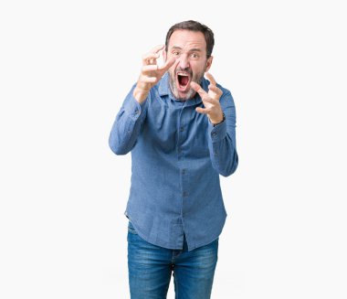 Yakışıklı orta yaş zarif üst düzey adam öfkeyle, sinirli bağırarak izole arka plan üzerinde eller boğazlamak istiyor deli bağırıyor