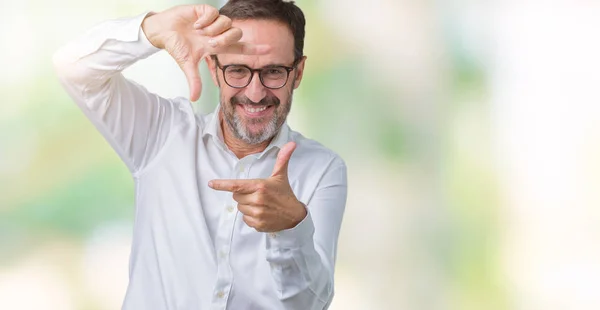 Handsome Middle Age Elegant Senior Business Man Wearing Glasses Isolated — Stock Photo, Image