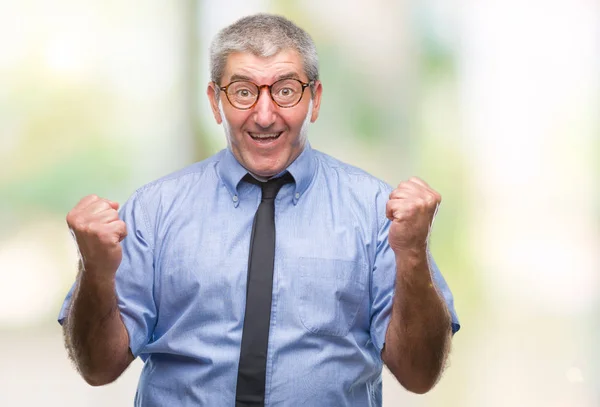 Handsome Senior Business Man Isolated Background Celebrating Surprised Amazed Success — Stock Photo, Image