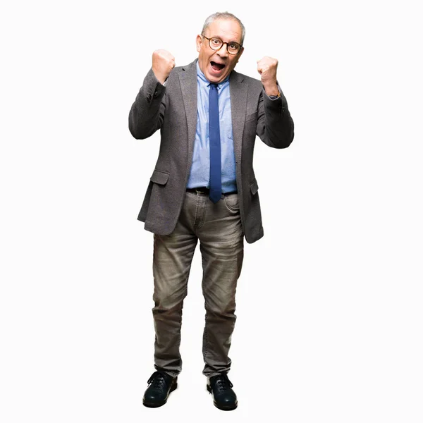 Guapo Hombre Negocios Senior Con Gafas Corbata Celebrando Sorprendido Sorprendido —  Fotos de Stock