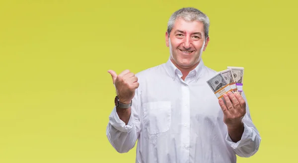 Handsome Senior Man Holding Bunch Money Isolated Background Pointing Showing — Stock Photo, Image