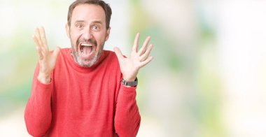 Yakışıklı orta yaş ağarmış komuta sizde üzerinde kış kazak giymiş deli kutluyor arka plan izole ve başarı için kaldırdı kollarını açarak hayrete ve heyecanlı çığlık gözleri açık. Kazanan kavramı