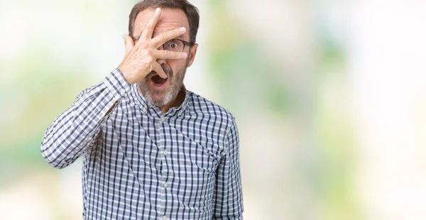 Handsome Middle Age Elegant Senior Business Man Wearing Glasses Isolated — Stock Photo, Image