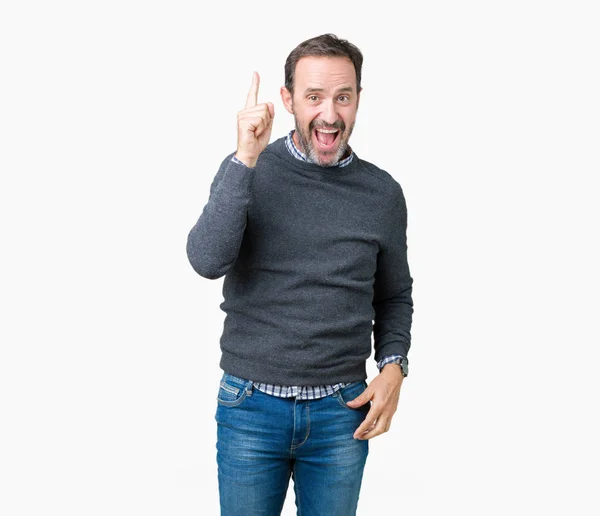 Handsome Middle Age Senior Man Wearing Sweater Isolated Background Pointing — Stock Photo, Image