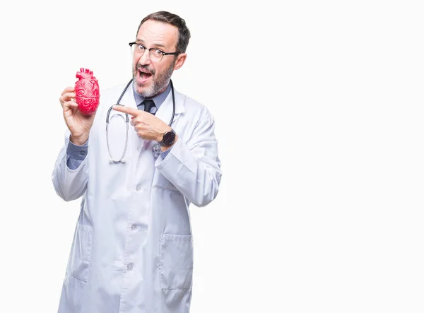 Middle Age Senior Hoary Cardiologist Doctor Man Holding Heart Isolated — Stock Photo, Image