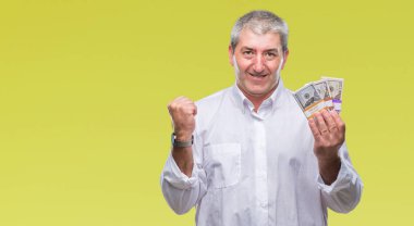 Duygu tezahürat yakışıklı komuta sizde para demet gurur çığlık ve zafer ve başarı çok heyecanlı, kutluyor izole arka plan üzerinde tutan