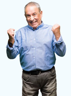 Kutluyor zarif forması giyen yakışıklı üst düzey businesss adam şaşırttı ve başarı için kaldırdı kollarını açarak hayret ve gözleri açık. Kazanan kavramı.