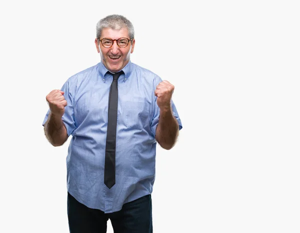 Gutaussehender Älterer Geschäftsmann Mit Isoliertem Hintergrund Sehr Glücklich Und Aufgeregt — Stockfoto