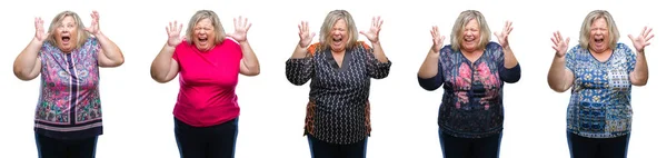 Collage Senior Fat Woman Isolated Background Celebrating Crazy Amazed Success — Photo