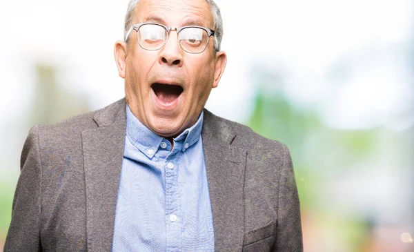 Handsome Senior Businesss Man Wearing Glasses Afraid Shocked Surprise Expression — Stock Photo, Image