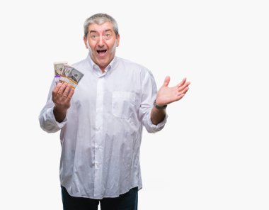 Yakışıklı komuta sizde para büyük gülümseme ile çığlık zaferini kutluyor ve ellerini kaldırdı izole arka plan çok mutlu ve heyecanlı, kazanan ifade üzerinde tutan