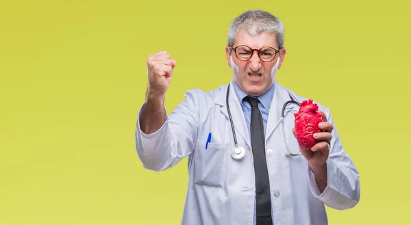 Pěkný Starší Kardiolog Lékař Muž Drží Srdce Izolované Pozadí Naštvaný — Stock fotografie