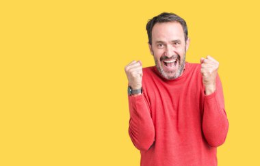 İzole arka plan kutlama üzerinde giyen kış kazak şaşırttı ve silah ile başarı için hayran yakışıklı orta yaş ağarmış komuta sizde kaldırdı ve gözleri açık. Kazanan kavramı.