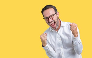 Gülümseyen ve başarı için çığlık izole arka plan çok mutlu ve heyecanlı kaldırdı, silah ile kazanan jest yapıyor üzerinde gözlük takan yakışıklı orta yaş zarif üst düzey iş adamı. Kutlama kavramı.