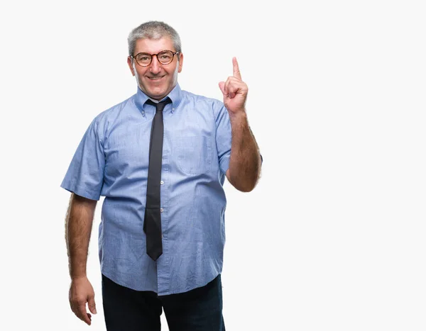 Handsome Senior Business Man Isolated Background Pointing Finger Successful Idea — Stock Photo, Image