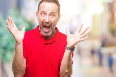 Orta yaş ağarmış üst düzey adam deli kutluyor arka plan izole ve başarı için kaldırdı kollarını açarak hayrete ve heyecanlı çığlık gözleri açık. Kazanan kavramı