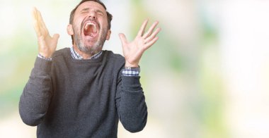 Kızgın ve silah ile başarı için deli kutluyor izole arka plan üzerinde bir kazak giymiş yakışıklı orta yaş komuta sizde kaldırdı ve heyecanlı çığlık gözler kapalı. Kazanan kavramı