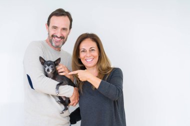 Orta yaş çift holding küçük chihuahua üzerinde izole arka el ve parmak ile işaret çok mutlu