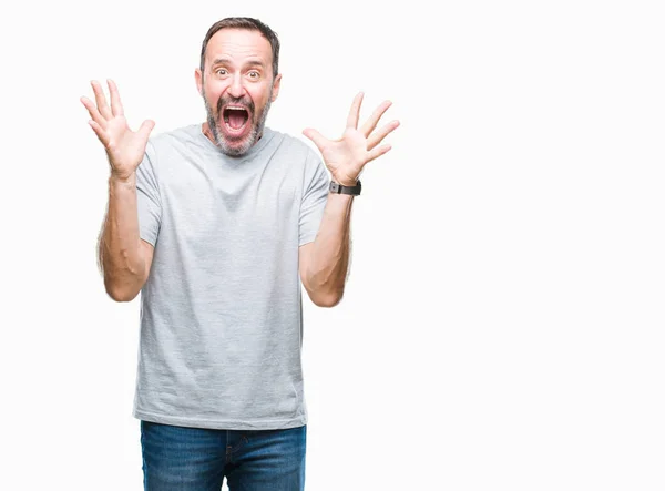 Hombre Canoso Mediana Edad Sobre Fondo Aislado Celebrando Loco Sorprendido —  Fotos de Stock