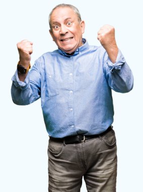 Yakışıklı üst düzey businesss giyen şık gömlek çok mutlu ve heyecanlı gülümseyen ve başarı için çığlık kaldırdı, silah ile kazanan jest yapıyor adamım. Kutlama kavramı.