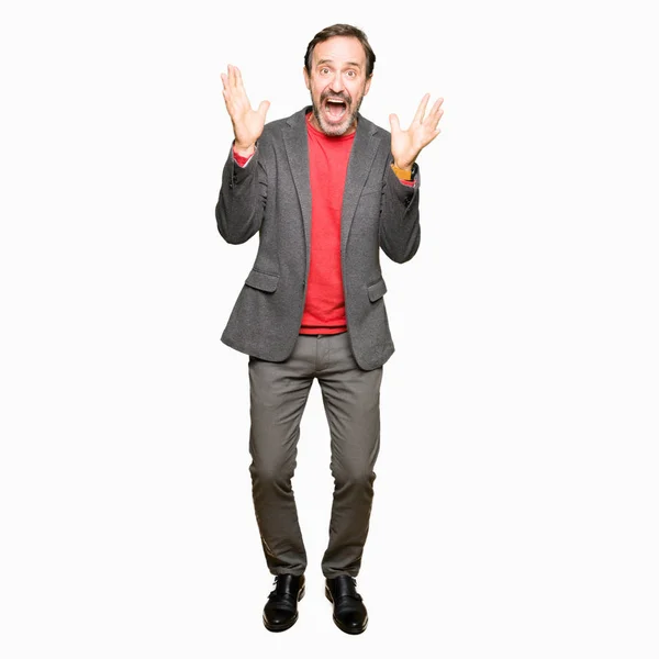 Middle Age Handsome Business Man Celebrating Crazy Amazed Success Arms — Stock Photo, Image