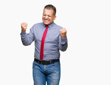 Üzerinde kırmızı kravat giyen orta yaş Arap adam arka plan çok mutlu ve heyecanlı kaldırdı, silah ile kazanan jest yapıyor gülümseyen ve başarı için çığlık izole. Kutlama kavramı.