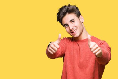 Yakışıklı delikanlı el ile pozitif jest yapıyor onaylama izole arka plan üzerinde başparmak gülümseyen ve başarı için mutlu. Kamera, kazanan jest arıyorsunuz.