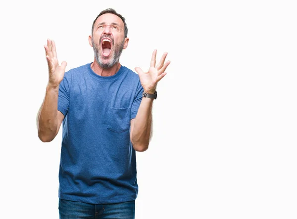 Middle Age Hoary Senior Man Isolated Background Crazy Mad Shouting — Stock Photo, Image