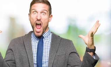 Yakışıklı iş adamı giyen takım elbise ve kravat çılgın kutluyor ve başarı için hayran silah kaldırdı ve açık gözleri heyecanlı çığlık. Kazanan kavramı