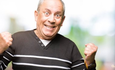 Yakışıklı kıdemli adam kış çizgili kazak giyen çok mutlu ve heyecanlı silah ile kazanan jest yaparak, gülümseyen ve başarı için çığlık kaldırdı. Kutlama konsepti.