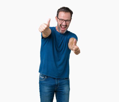 Yakışıklı Orta Çağ ağarmış kıdemli adam giydiğinden gözlük üzerinde izole arka plan ile olumlu jest yaparak onayladı el, thumbs up gülümseyen ve başarı için mutlu. Kamera bakarak, kazanan jest.