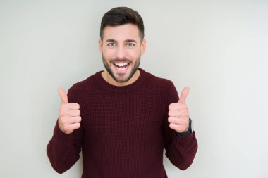 İzole edilmiş arka plan başarı işareti üzerine süveter giyen genç yakışıklı adam elleriyle olumlu jest yapıyor, gülümsüyor ve mutlu. Kameraya neşeli bir ifadeyle bakmak, kazanan bir jest..