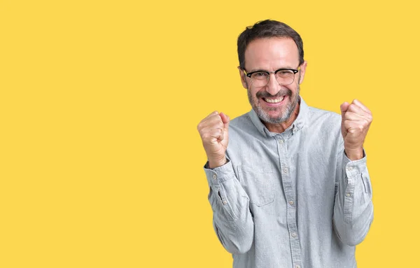 stock image Handsome middle age elegant senior man wearing glasses over isolated background celebrating surprised and amazed for success with arms raised and open eyes. Winner concept.