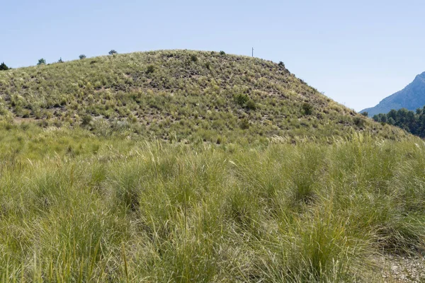 Prachtige Alpine Landschap Groene Berg Milieu Blauwe Hemel Een Zonnige — Stockfoto