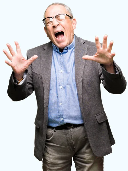 Handsome Senior Businesss Man Wearing Glasses Celebrating Mad Crazy Success — Stock Photo, Image