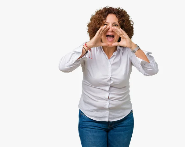 Beautiful Middle Ager Senior Businees Woman Isolated Background Shouting Angry — Stock Photo, Image